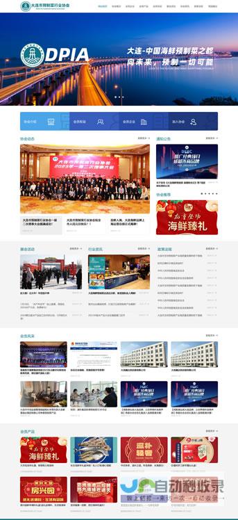 专业网站开发公司，从设计到上线，全程贴心服务