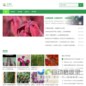 花韵坊_花卉养护乐园，绽放绚丽花韵